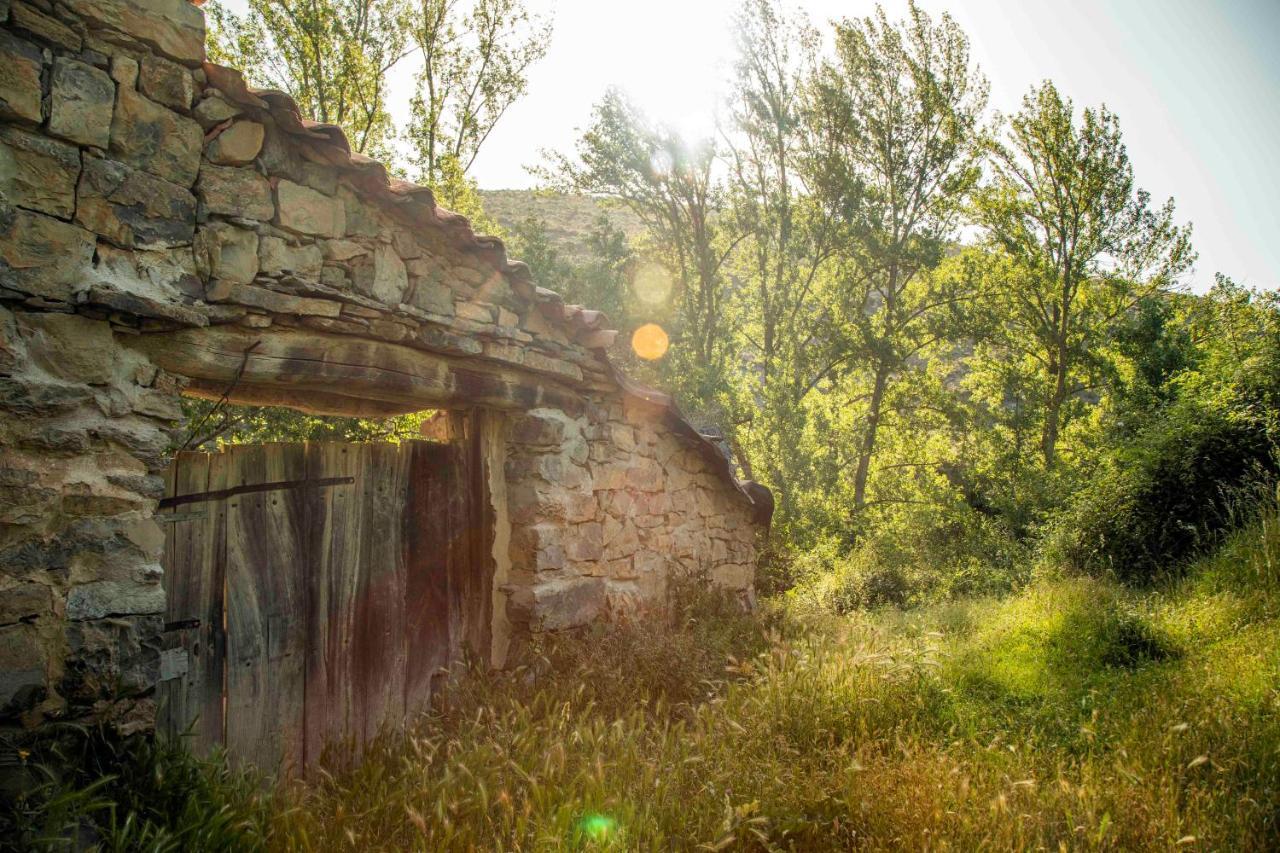 Gasthaus Casa Rural El Huerto De La Fragua Enciso Exterior foto